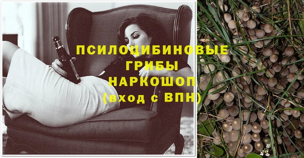 ГАЛЛЮЦИНОГЕННЫЕ ГРИБЫ Верея