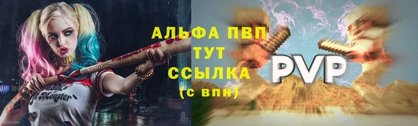 ГАЛЛЮЦИНОГЕННЫЕ ГРИБЫ Верея
