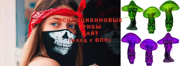 ГАЛЛЮЦИНОГЕННЫЕ ГРИБЫ Верея