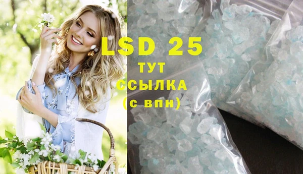 ГАЛЛЮЦИНОГЕННЫЕ ГРИБЫ Верея