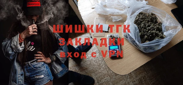 ГАЛЛЮЦИНОГЕННЫЕ ГРИБЫ Верея