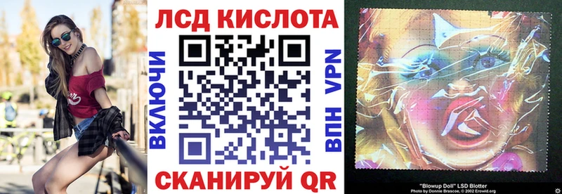 где можно купить наркотик  Гаврилов-Ям  сайты даркнета наркотические препараты  Наркотические марки 1,5мг 